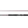 PENN Squadron III Inner Boat Spinning Rod