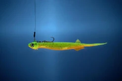 Quantum Pelagic Shad Set Pin-Tail - Gummifisch 10 Quantum Pelagic Shad Set Pin-Tail - Gummifisch -Kinetic Verkaufsgeschäft 3460004 C1 769241 1280x1280