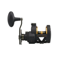 PENN FATHOM II STAR DRAG - Multirolle -Kinetic Verkaufsgeschäft PENN Fathom II Star Drag Reel 25 2019 alt3uD4jjkS0Hw8bZ 1280x1280