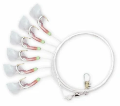 Zebco Heringsvorfach Lumo Haken 7 Zebco Heringsvorfach Lumo Haken -Kinetic Verkaufsgeschäft Zebco Heringsvorfach Lumo Haken 3446002lB5EWEB9xKrU1 1280x1280