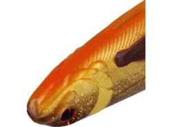 Westin SHADTEEZ Slim 18cm - 27cm - Blister -Kinetic Verkaufsgeschäft p165 x3 large 772879 1280x1280